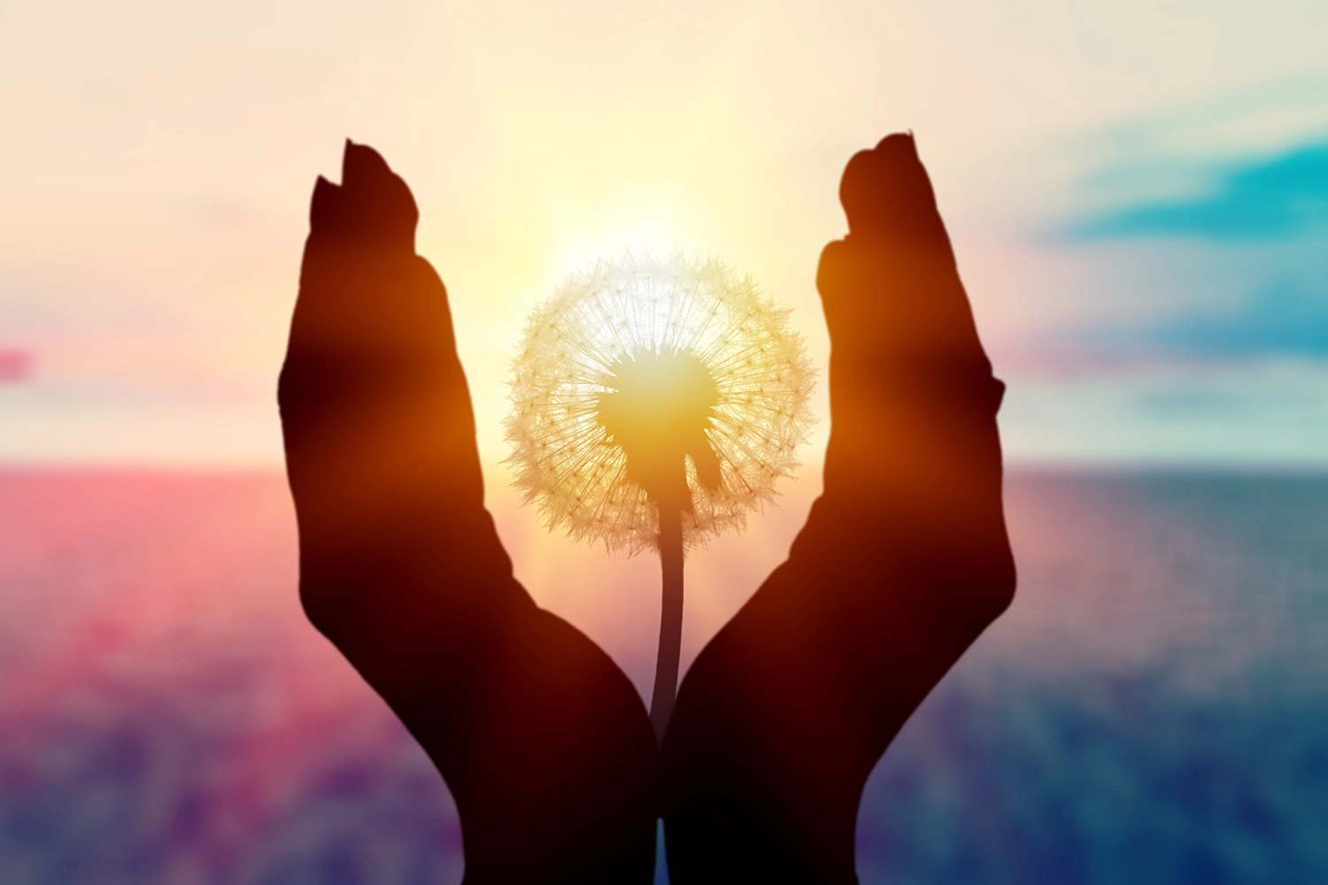 foundation of wholeness